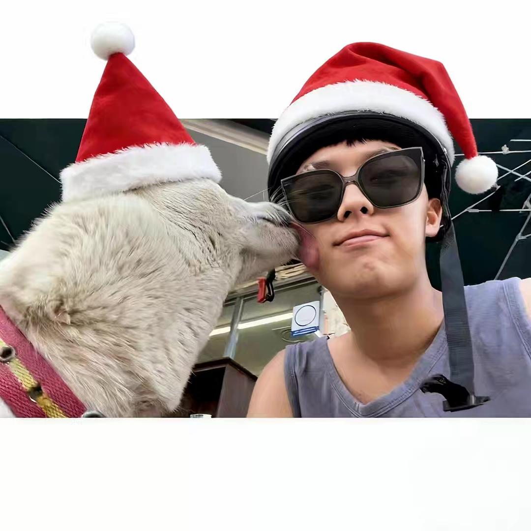 大狗阿辉（减脂ing）