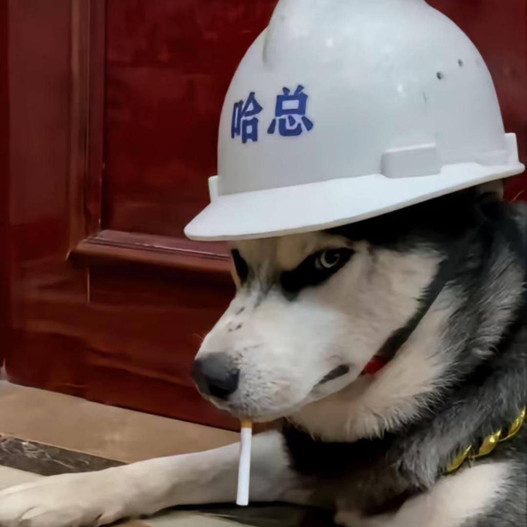 哈某人不易在线卖苦力