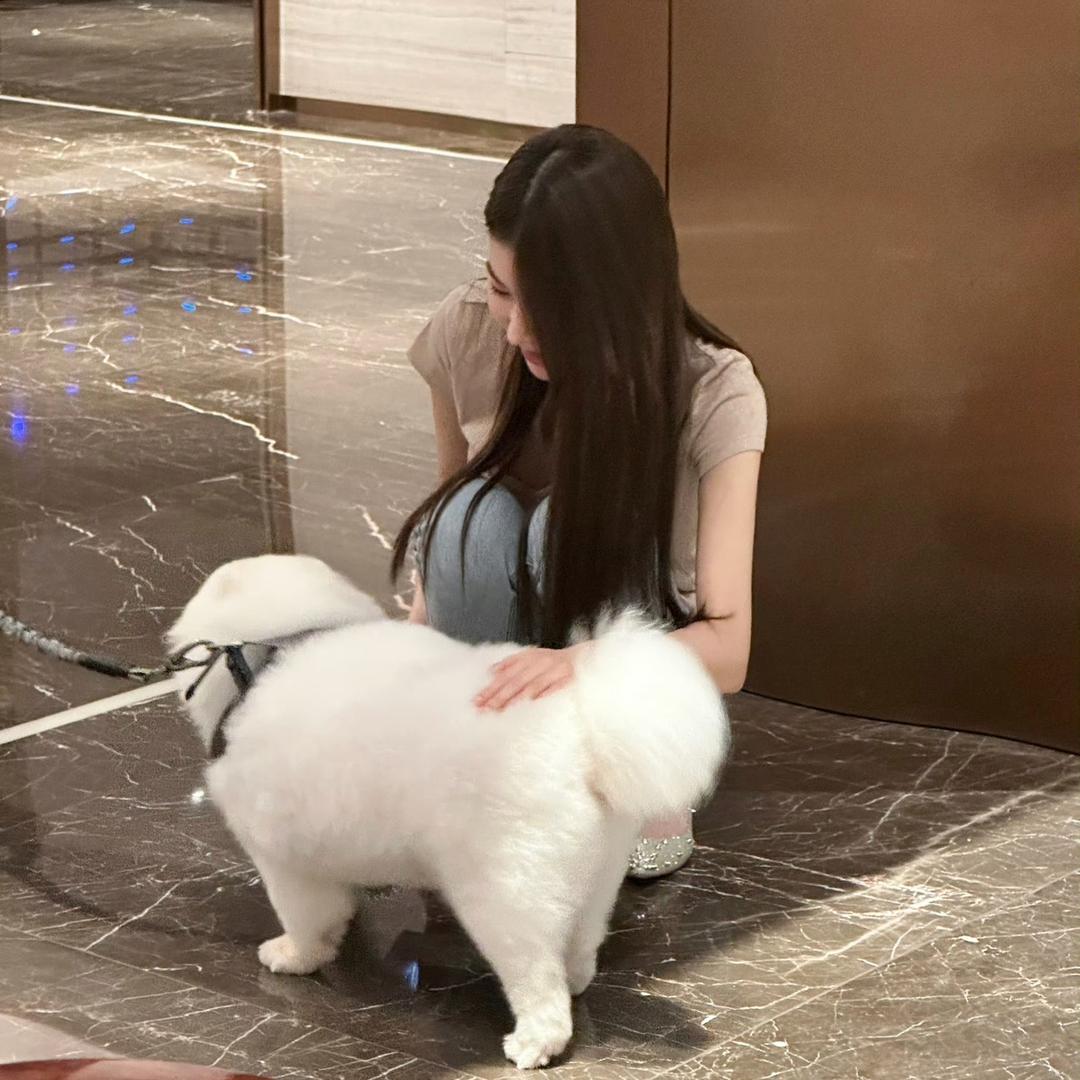拾捌