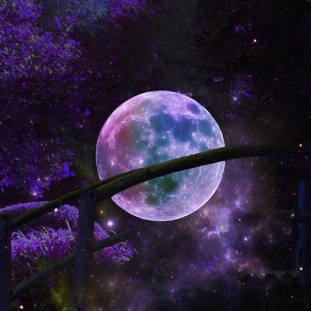毛线球🧶