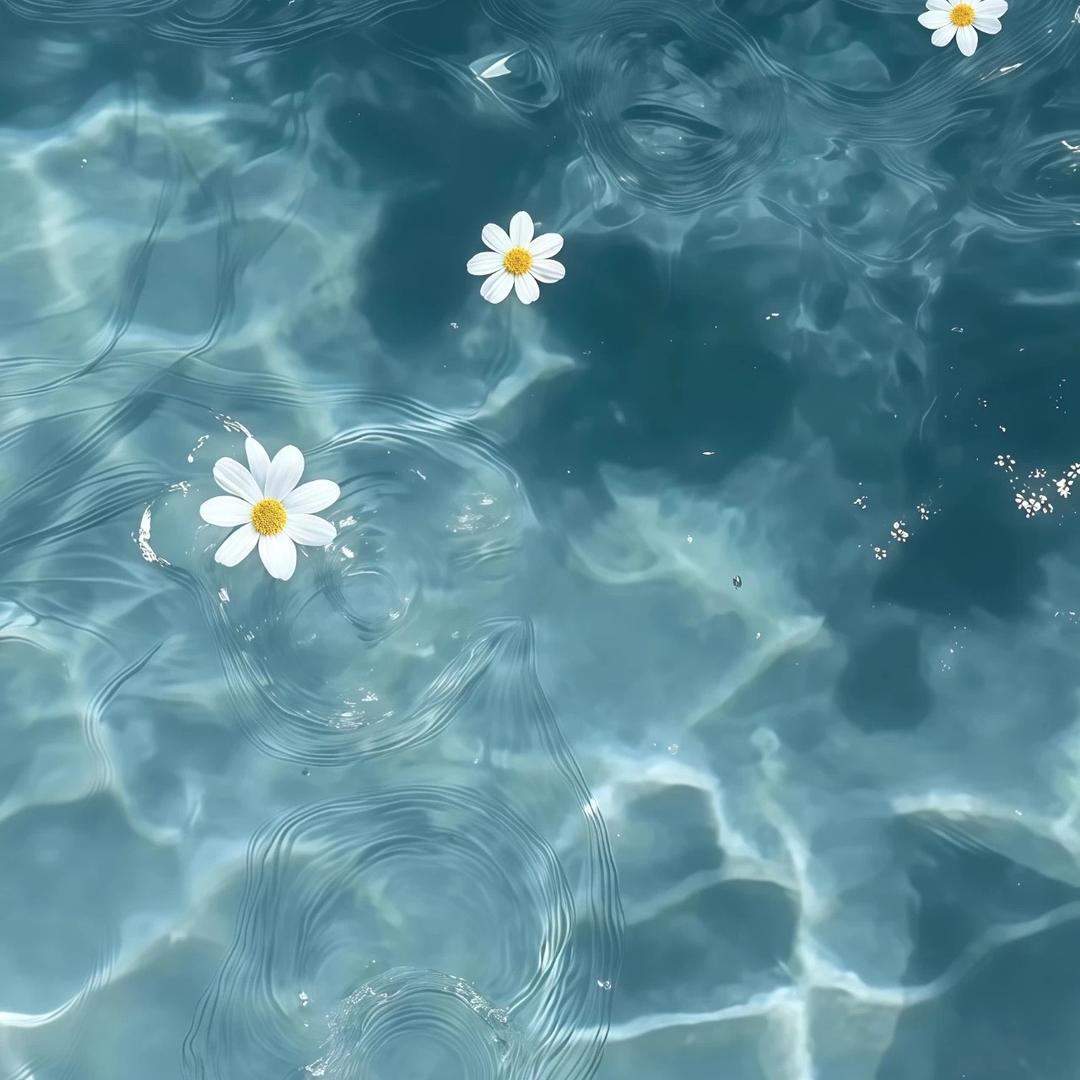 迷鹿