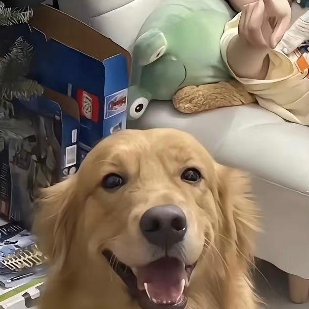 我王炸了