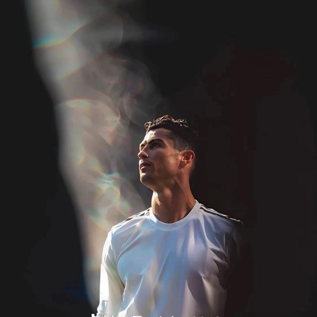 宝的现实人一般（半挂）