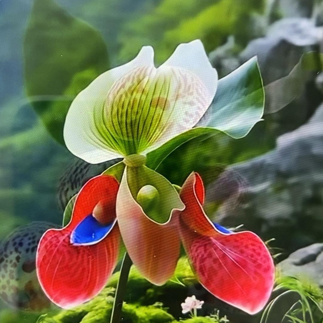时尚