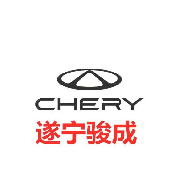 奇瑞汽车新能源-遂宁骏成店