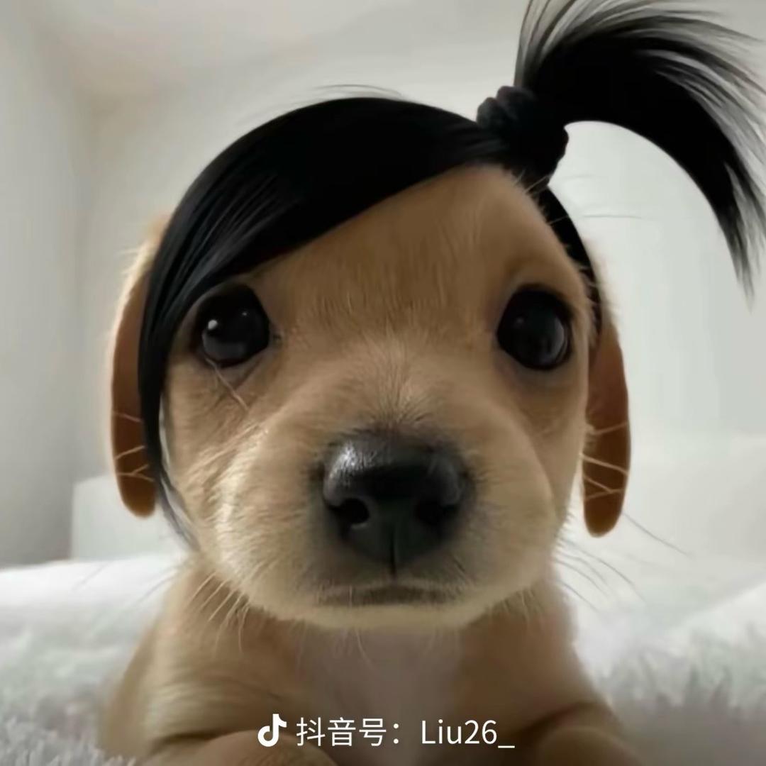 天气好热2.0