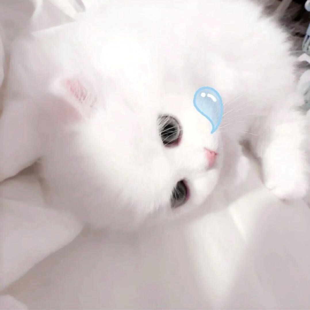 不过尔尔