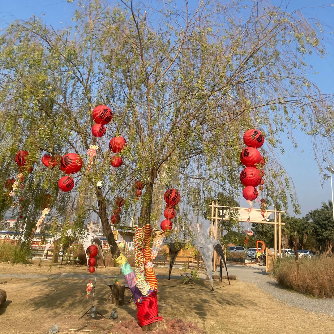 丽丽百货优选