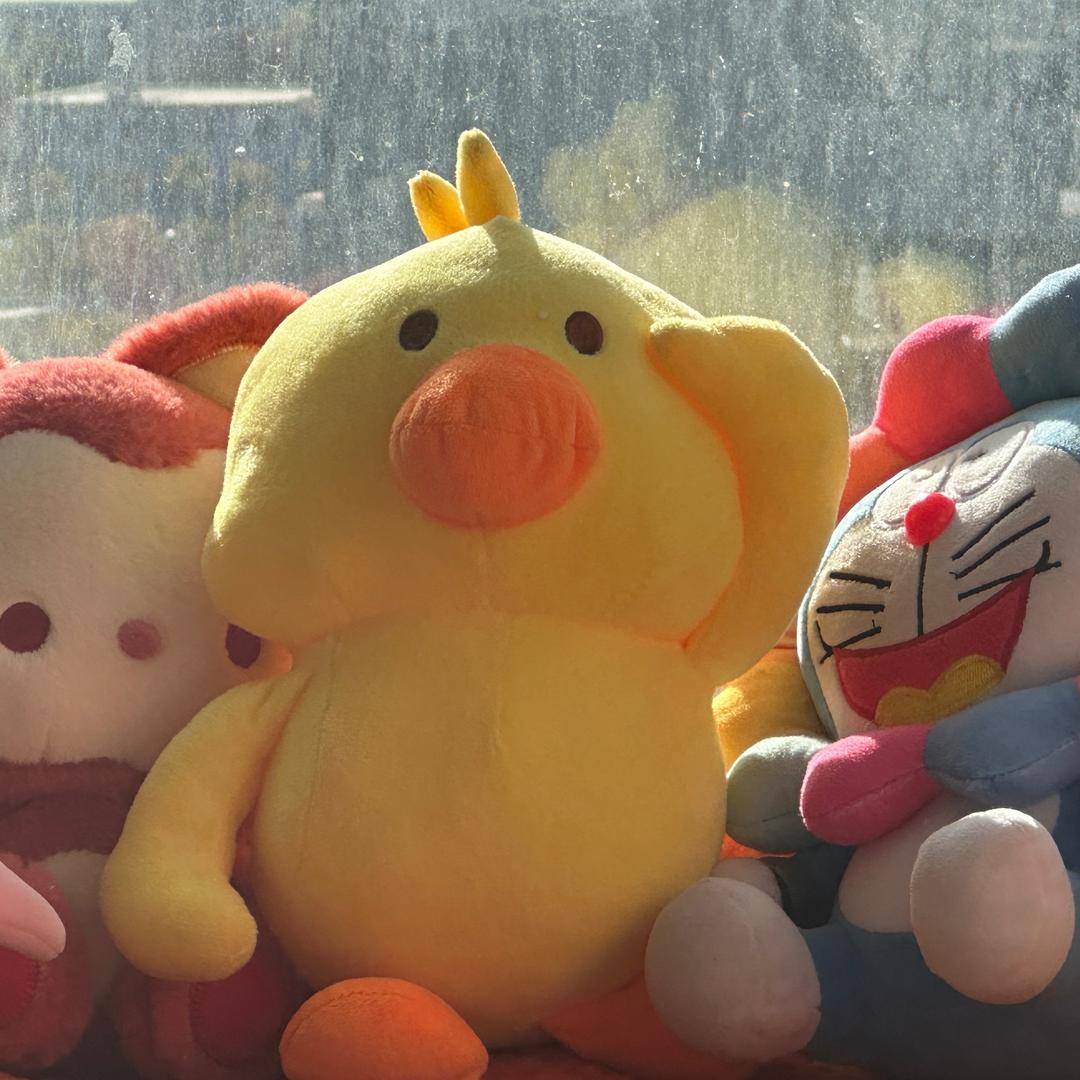 十万九千里相思