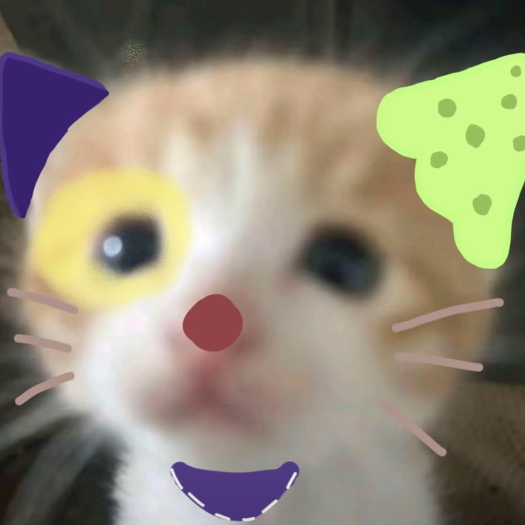 ฅ ᳐小猫很乖੭ﾞ