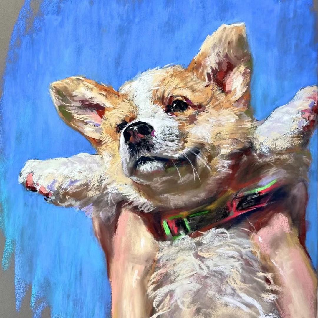 唐老鸭喂你吃闪光蛋🥚