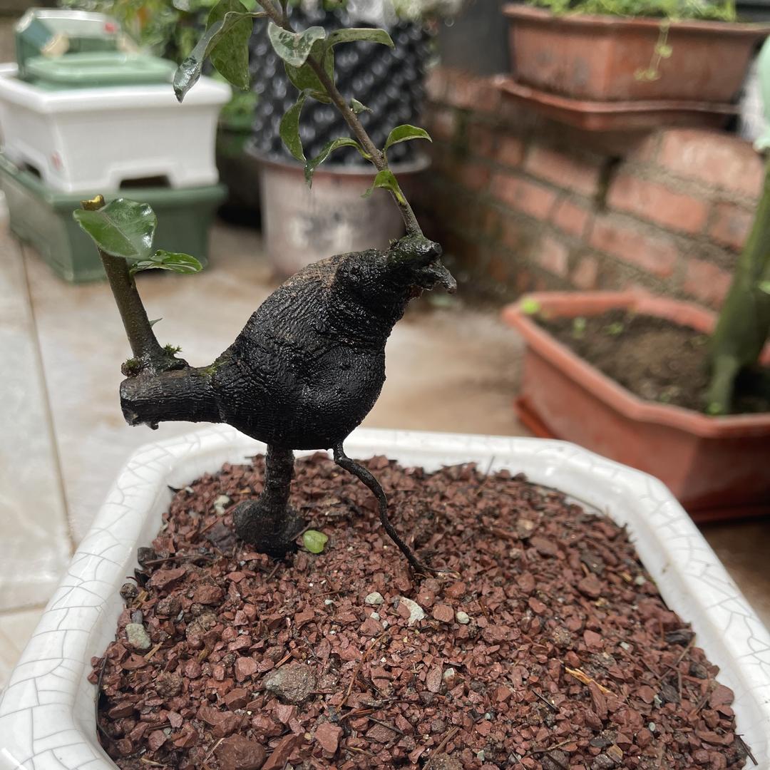 徐团长，长朋建材经营部