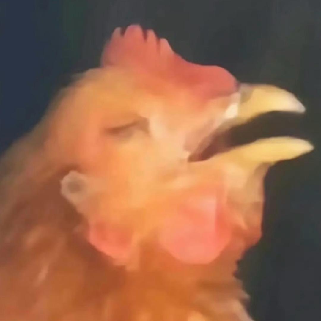 南三环路棉绒内裤