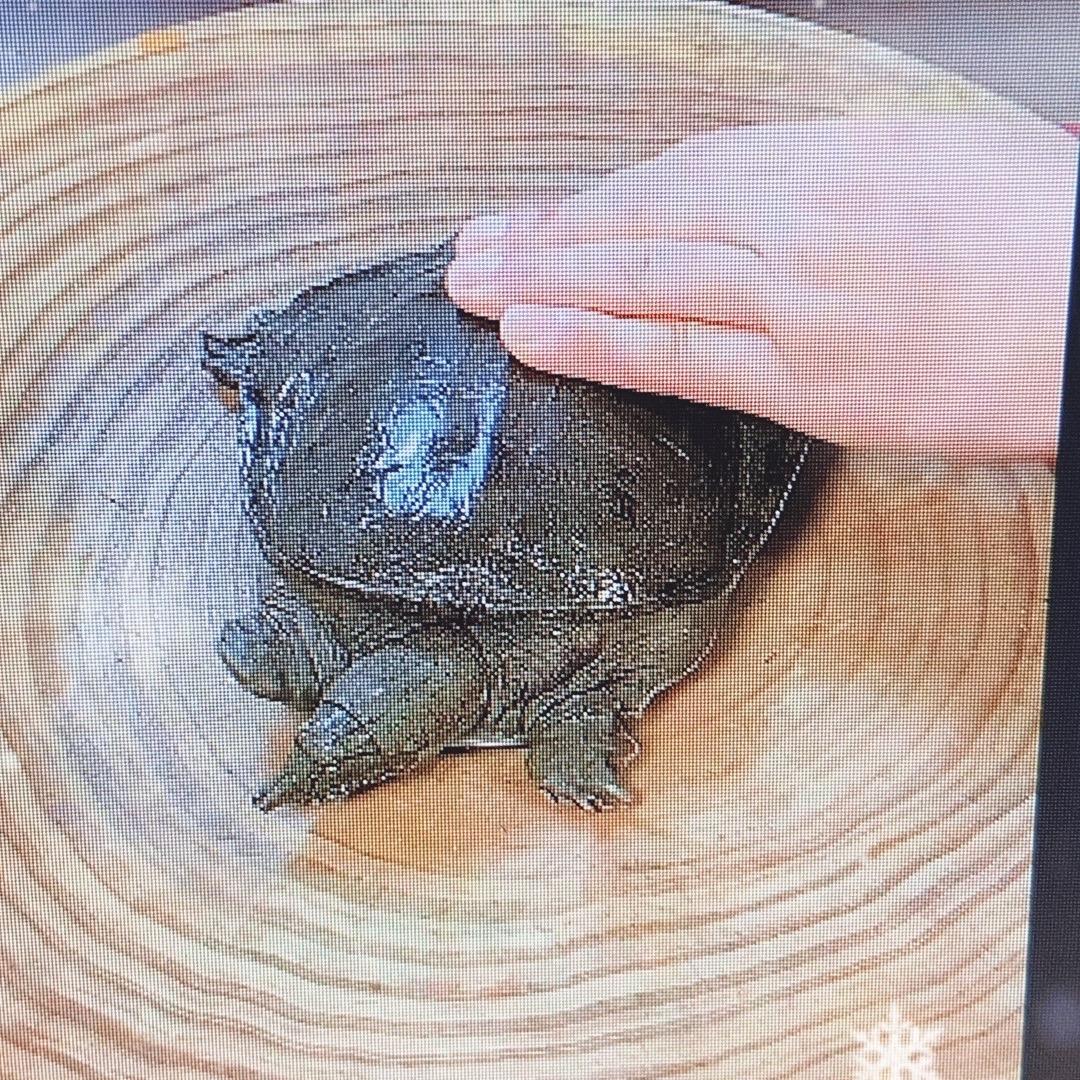 花哥教做菜