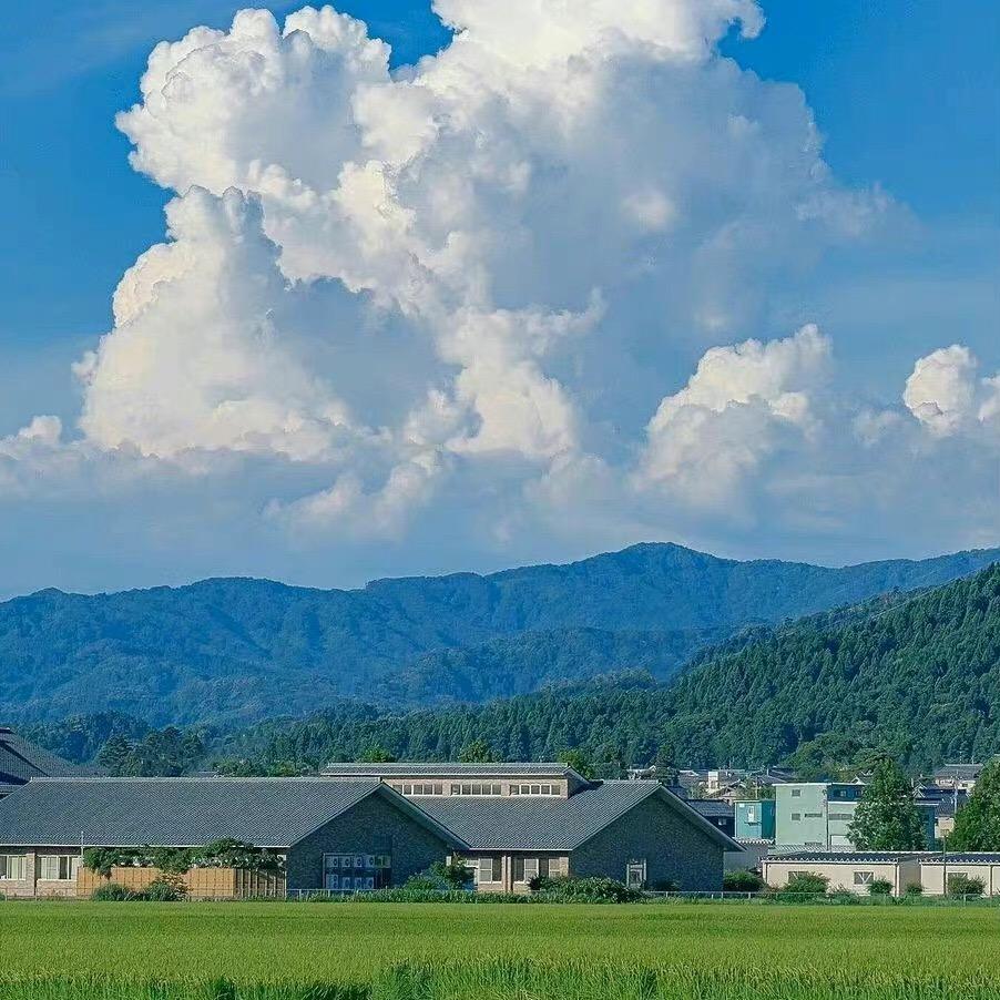 越来越好。