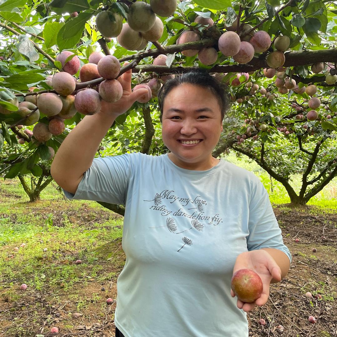 胖妹子百顺