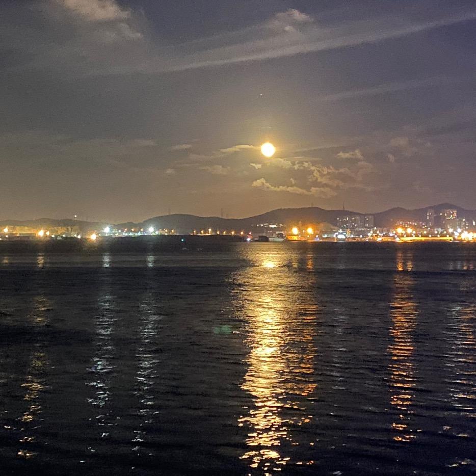 自渡ོ ༒自愈（王者变现）