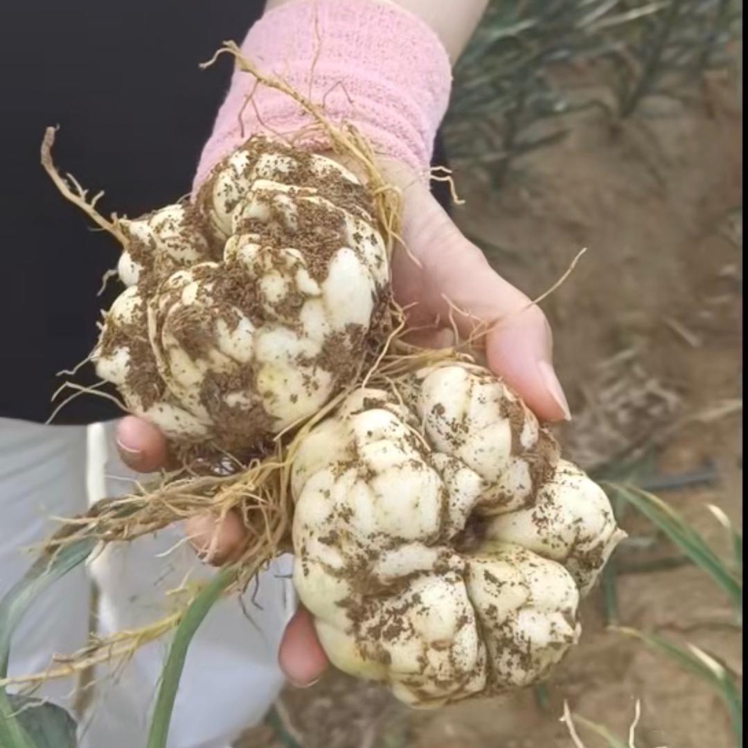 乡悦农家土特产