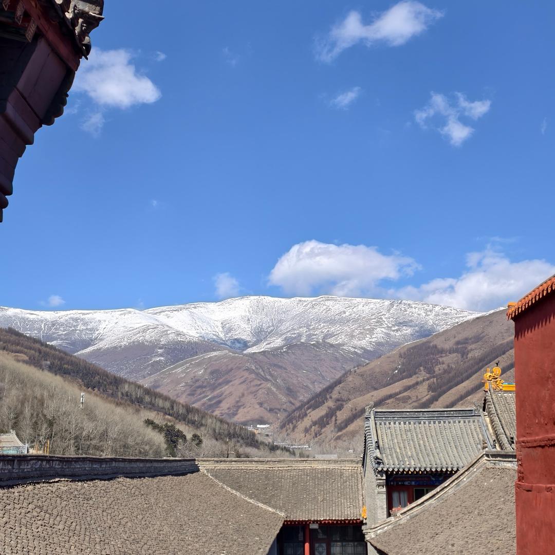 老杨看世界