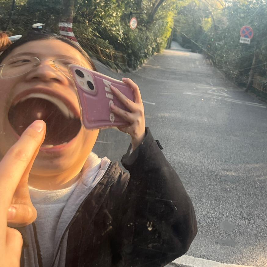 可乐鸡翅中