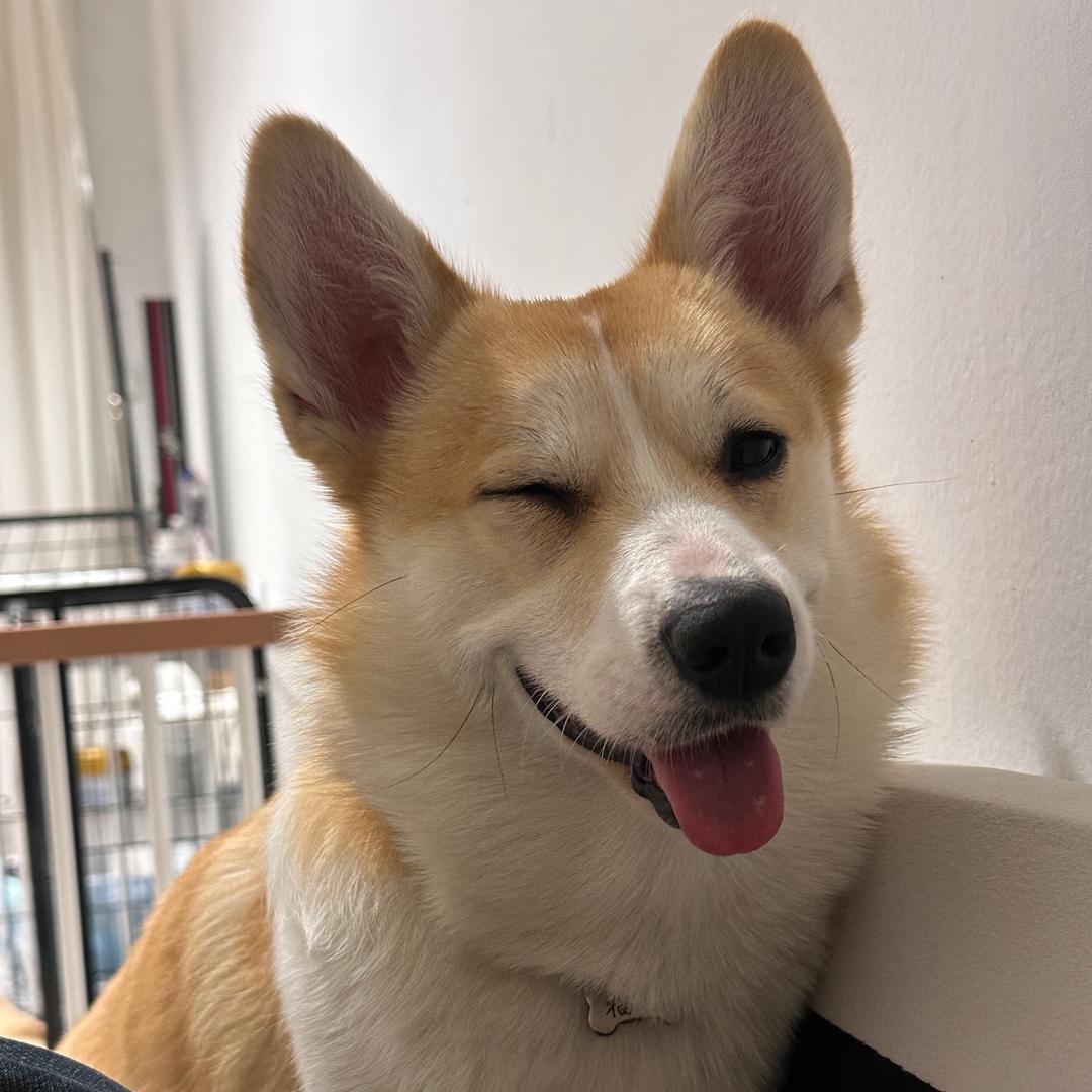 李皓南