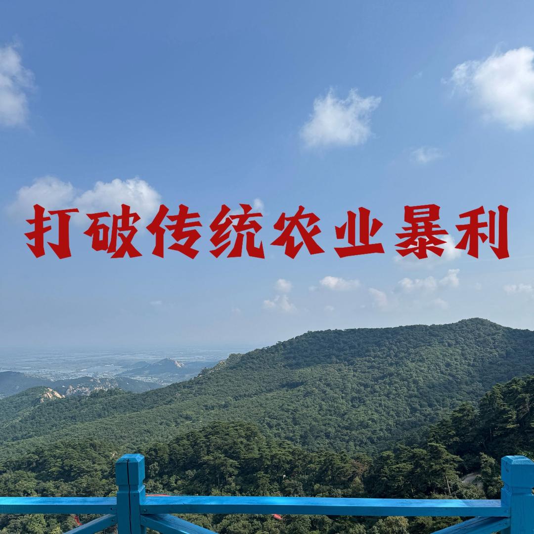 东北刘阿斗（打破农资暴利）
