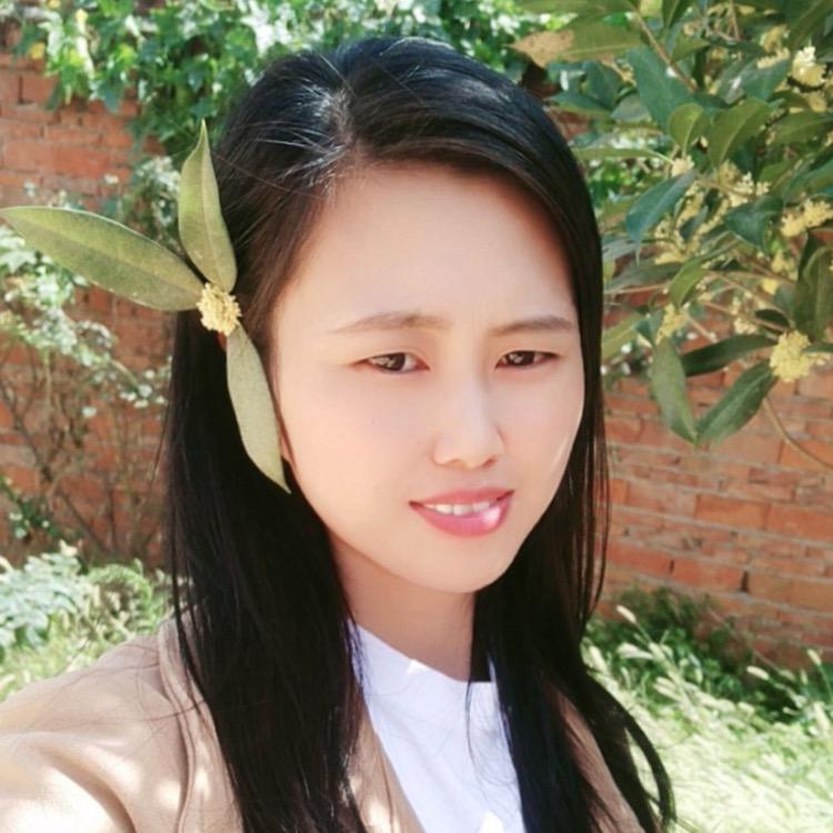 豫见粤越来越好
