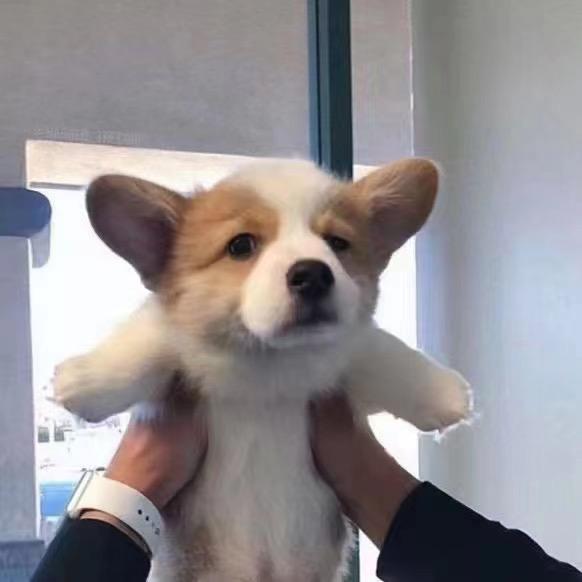 .…..