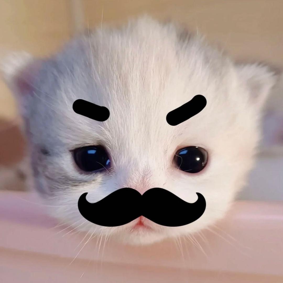 我不要吃鱼