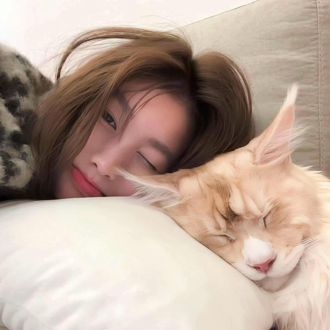 진 적이 있다.