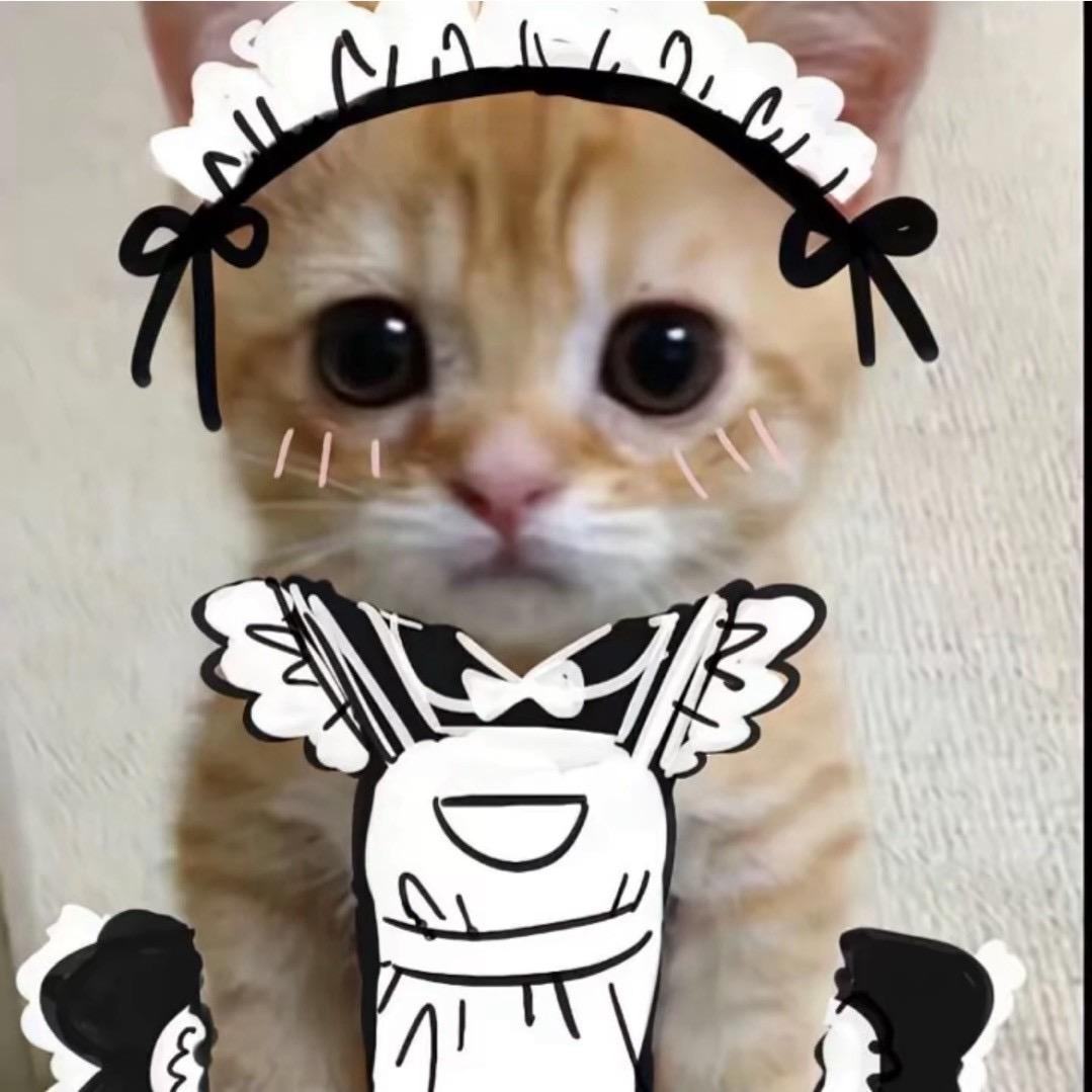 小姐姐