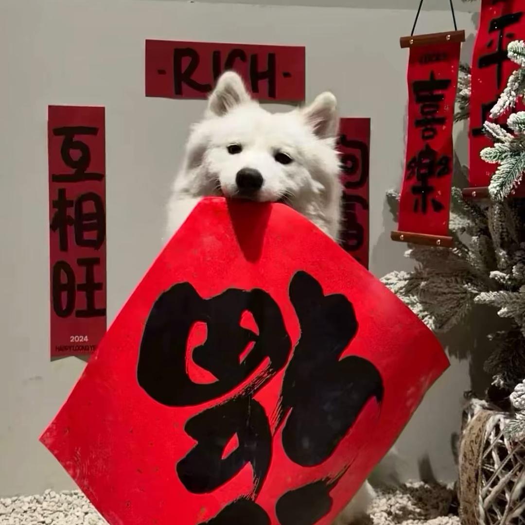 周周