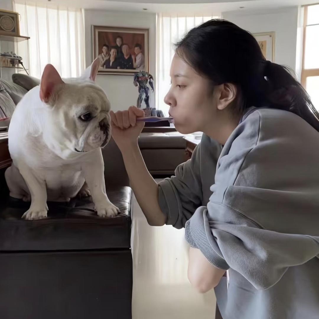 黑巧爆炒红烧肉