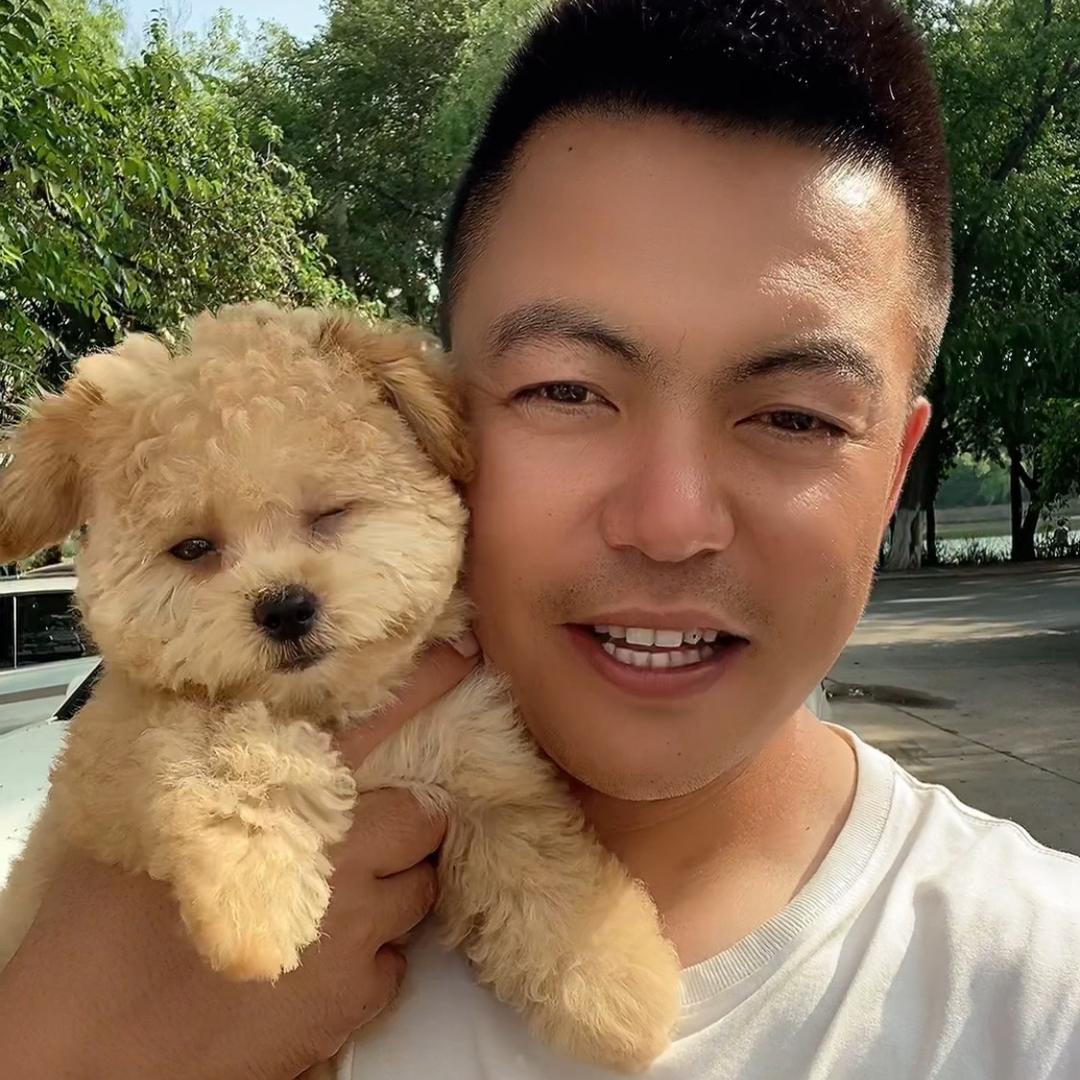十三少与流浪狗