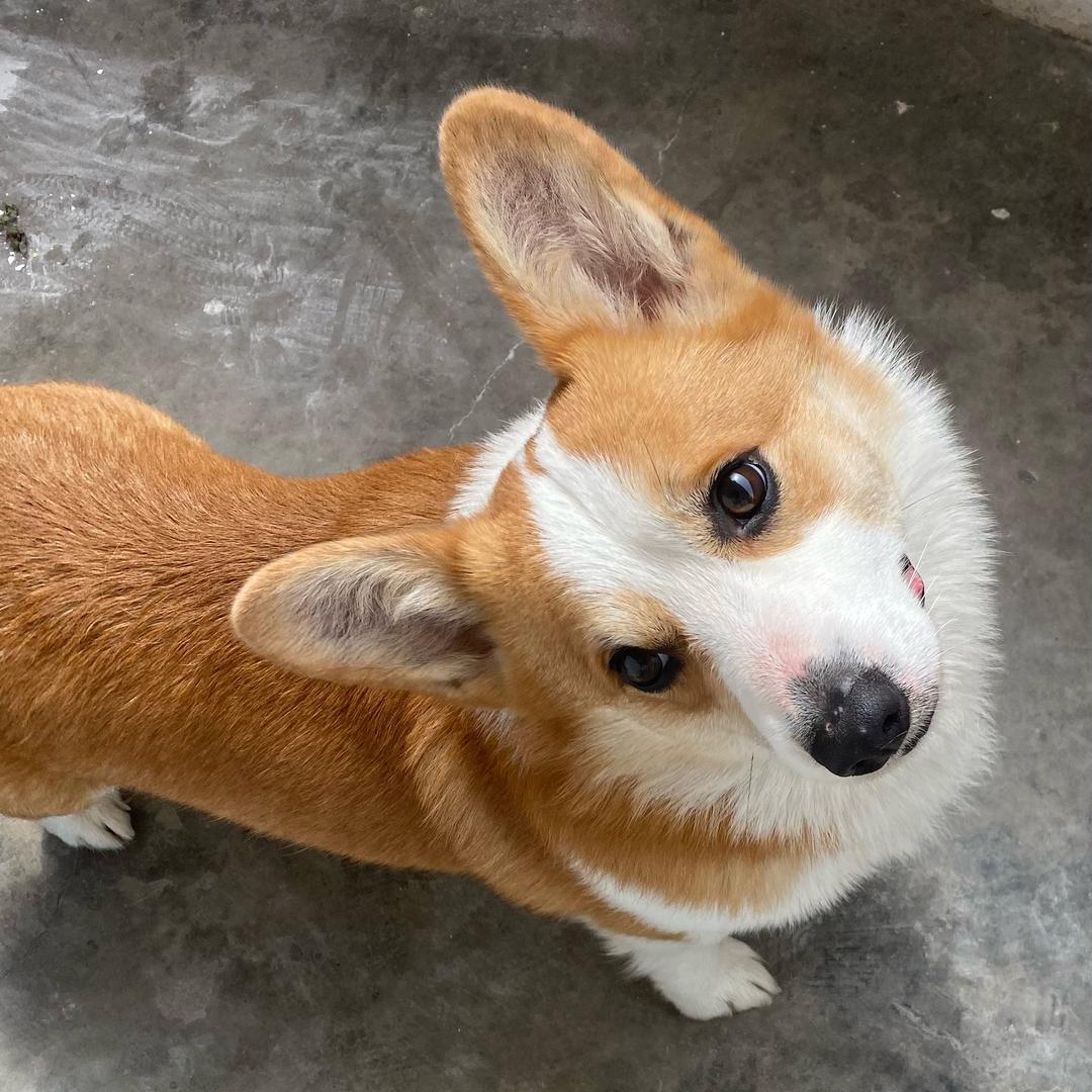 杠杠