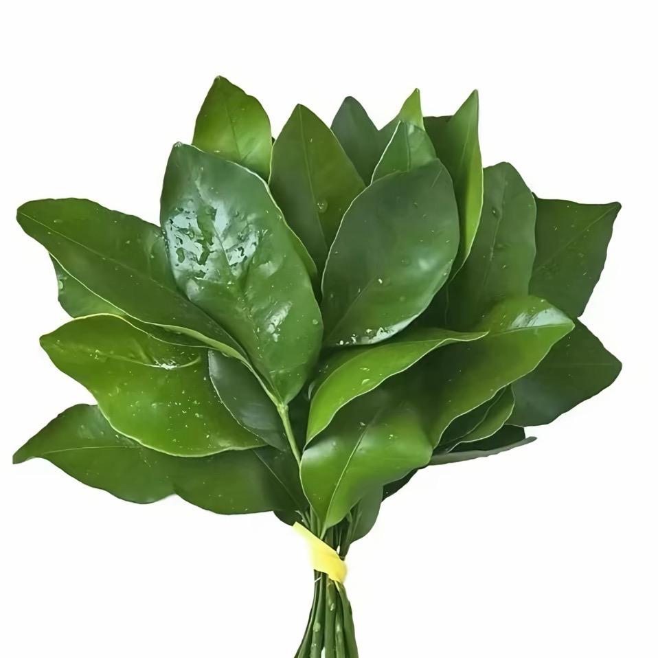 干脆面不脆