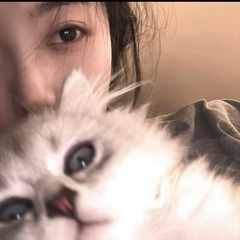 椰子🥥。