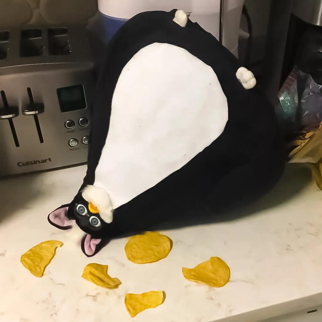 肥嘟嘟右卫门