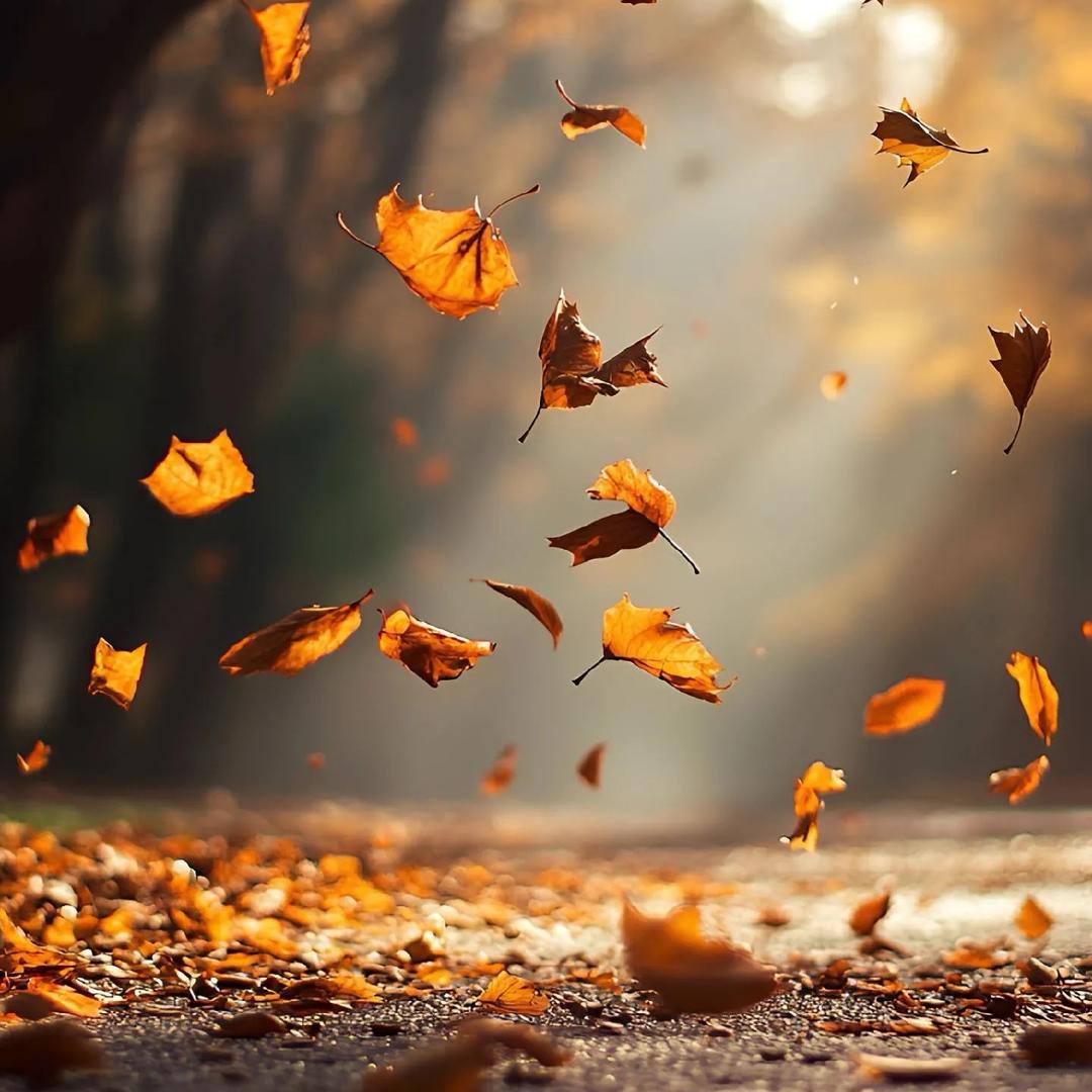 贵阳富雅花园酒店