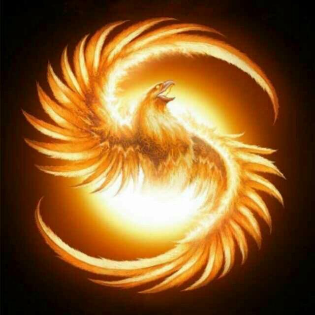 悟道