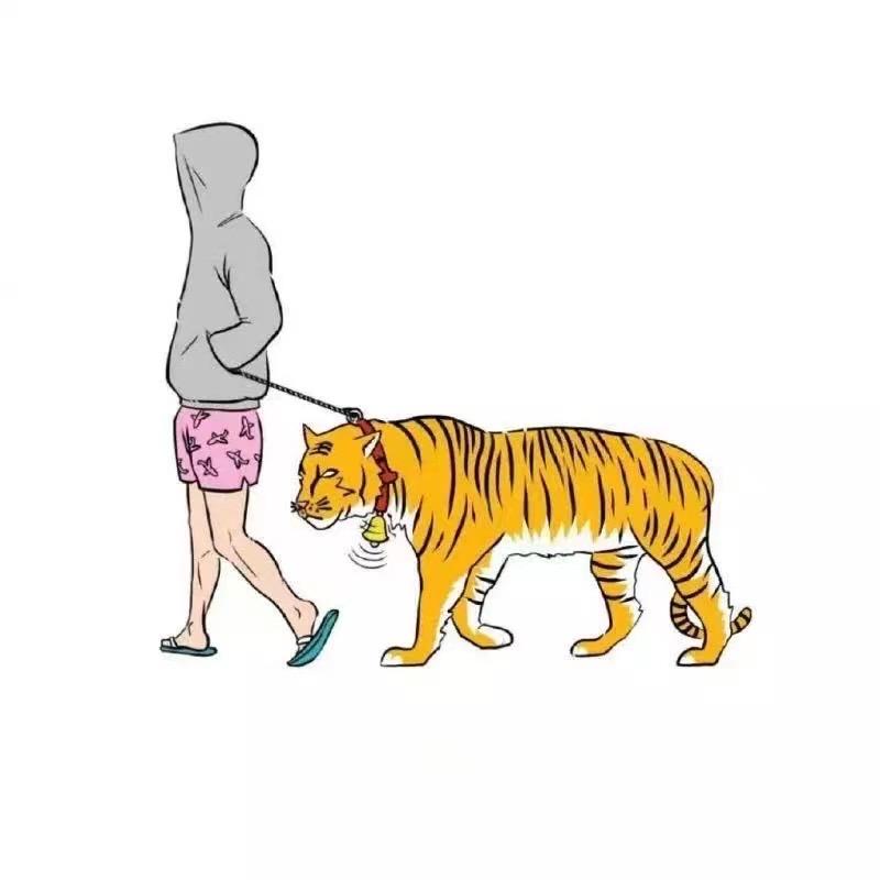 徐大大