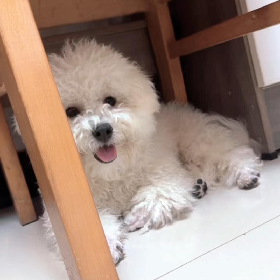 刺💗心