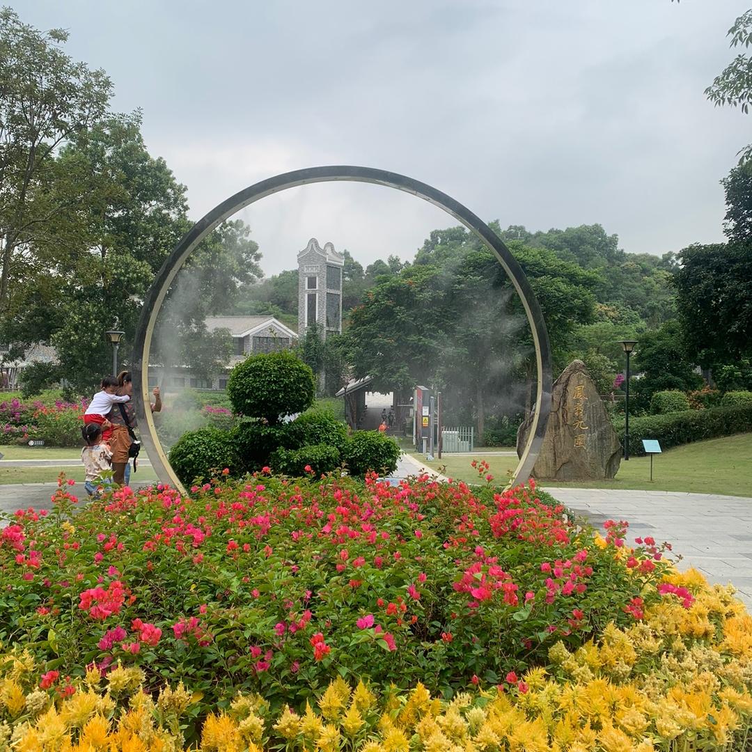 心向阳光