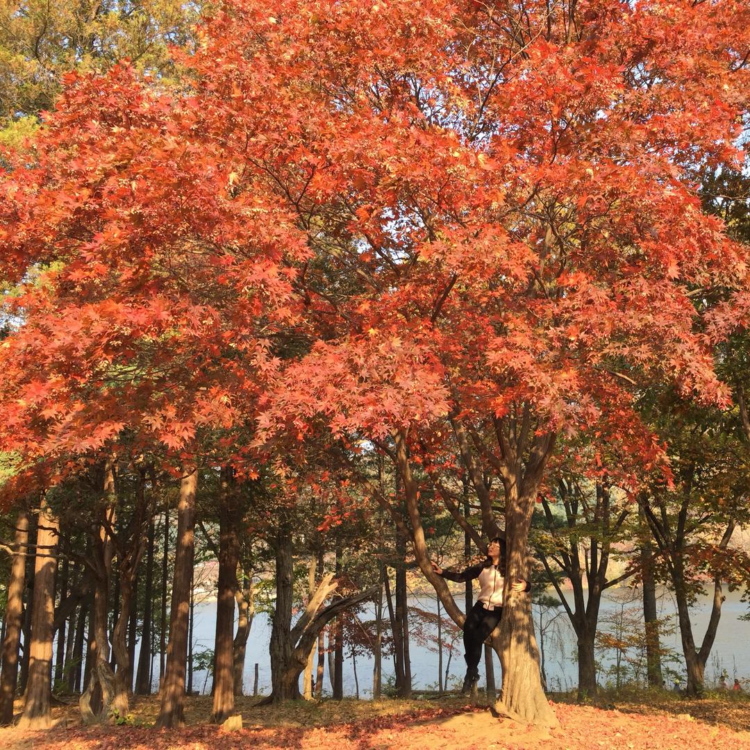 我是你的“杨八妹”