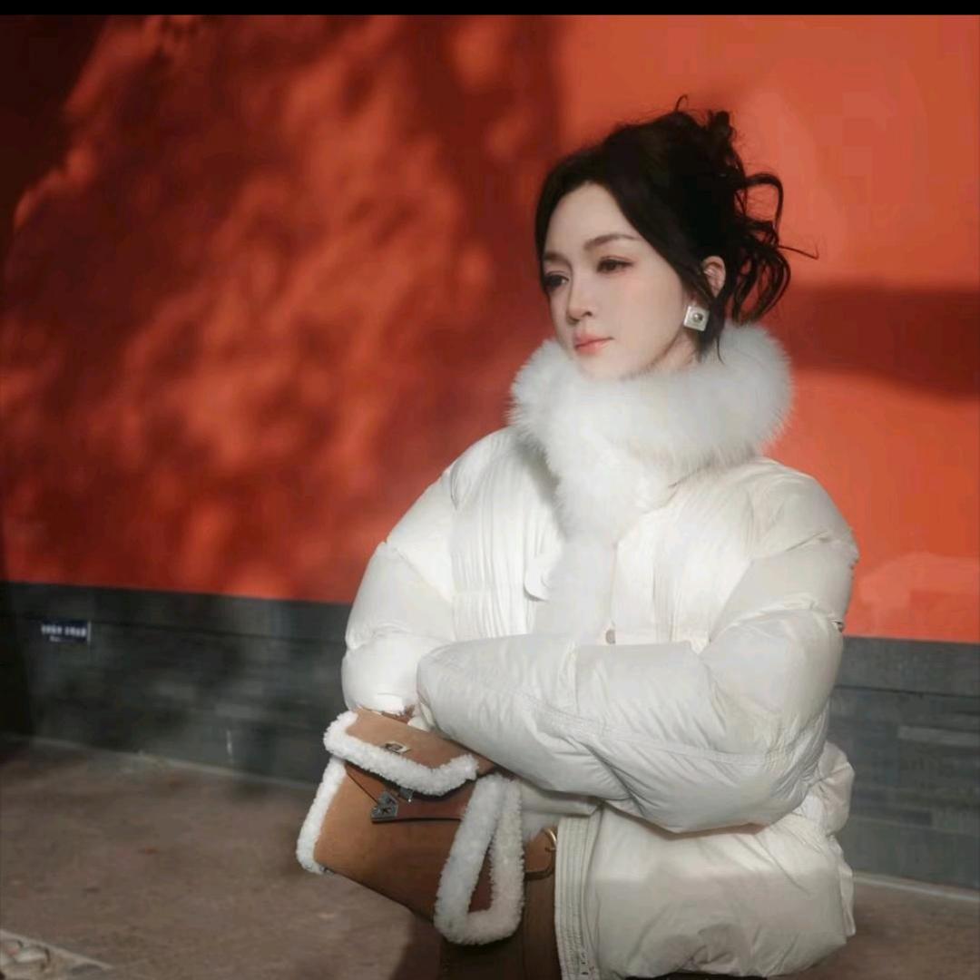 林宏武爆款返场