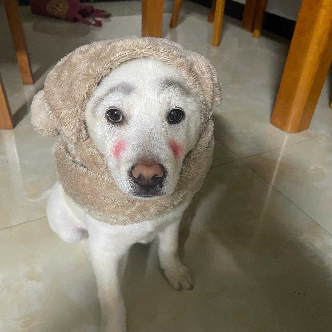 心动