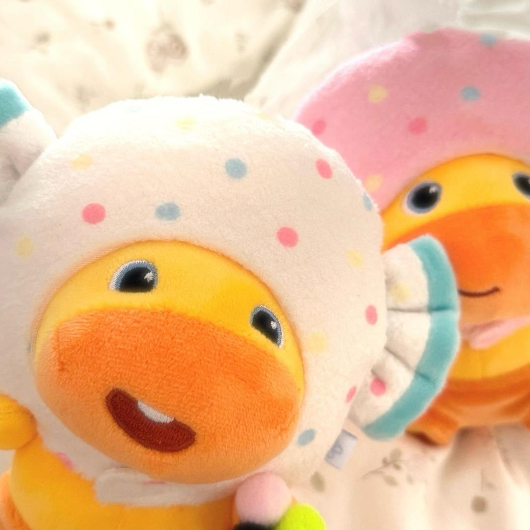 我爱拉粑粑🐣