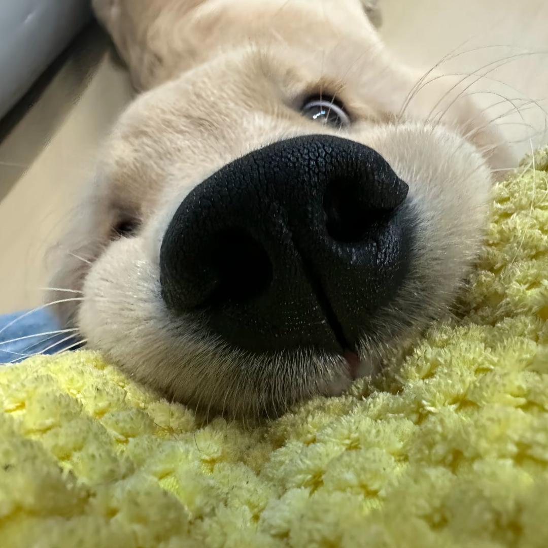 然然大王
