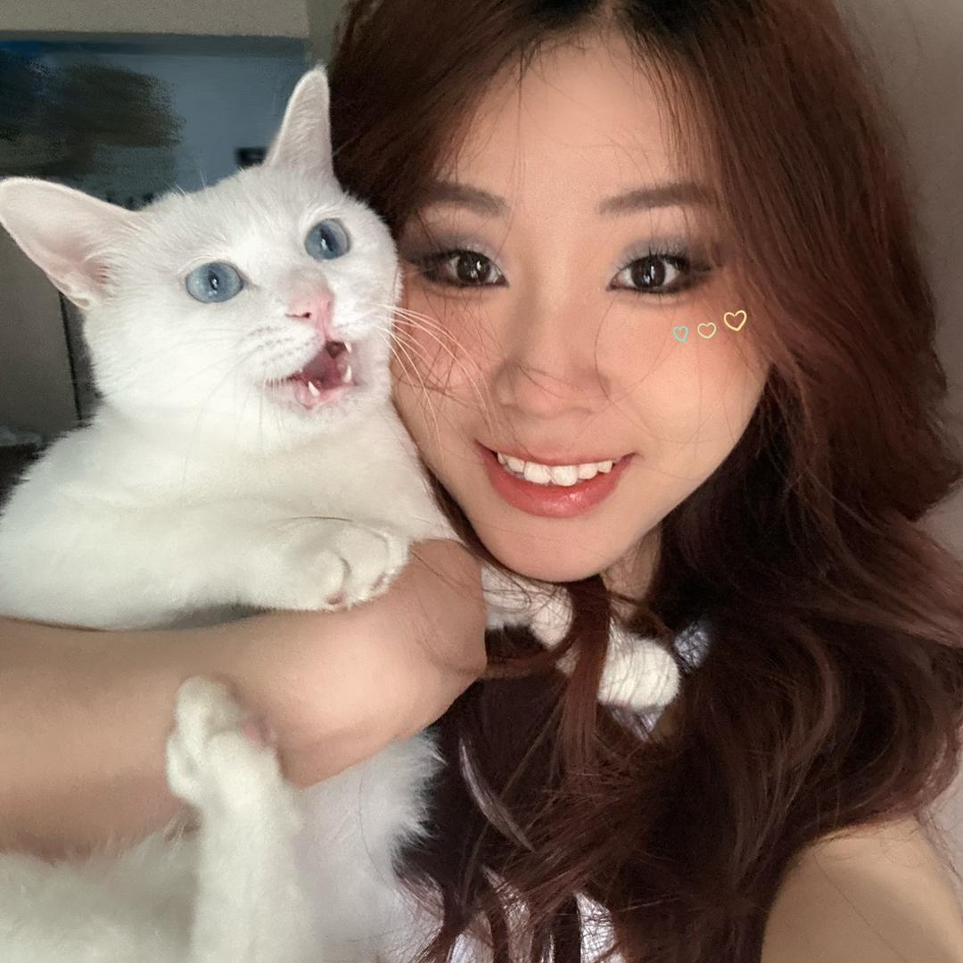 老瑶