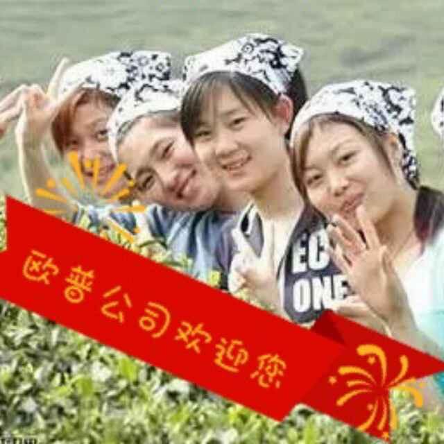 欧普陶瓷